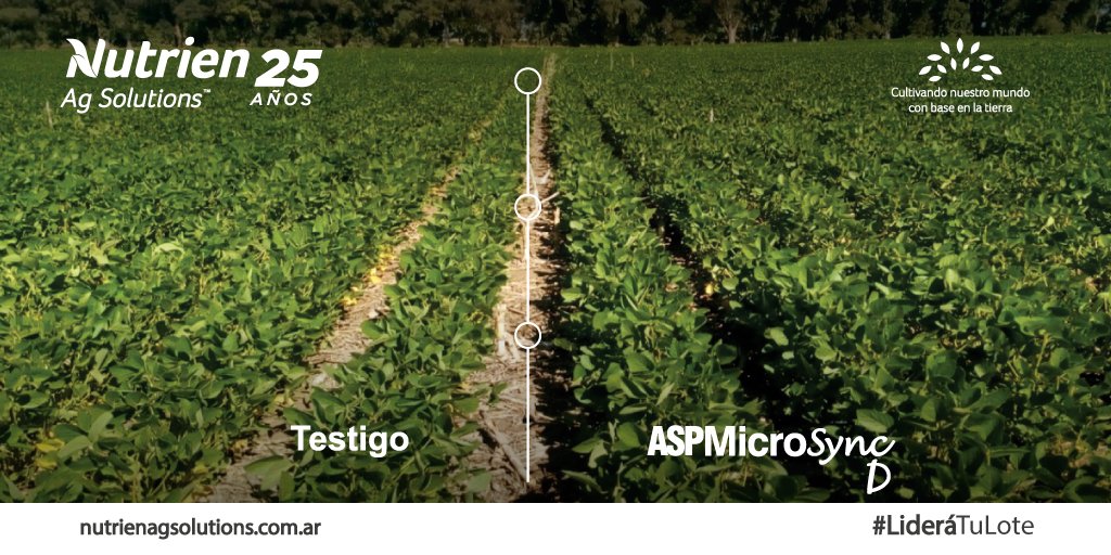 ✅MicrosyncD aumenta la removilización de nutrientes a través de la tecnología del Inositol que conlleva a un mayor crecimiento general del cultivo.
➡️¡Conseguí este producto en tu agrocentro más cercano!
.
#NutrienAgSolutions #MicrosyncD #LideráTuLote