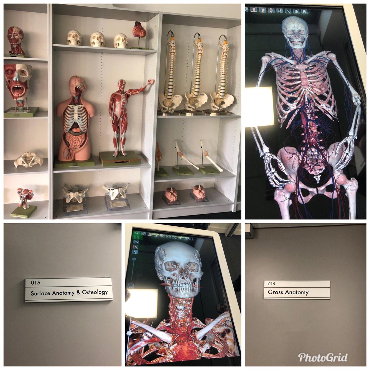 Click below for more information on the entry requirements for studying MBChB Medicine.

sunderland.ac.uk/help/school-of…