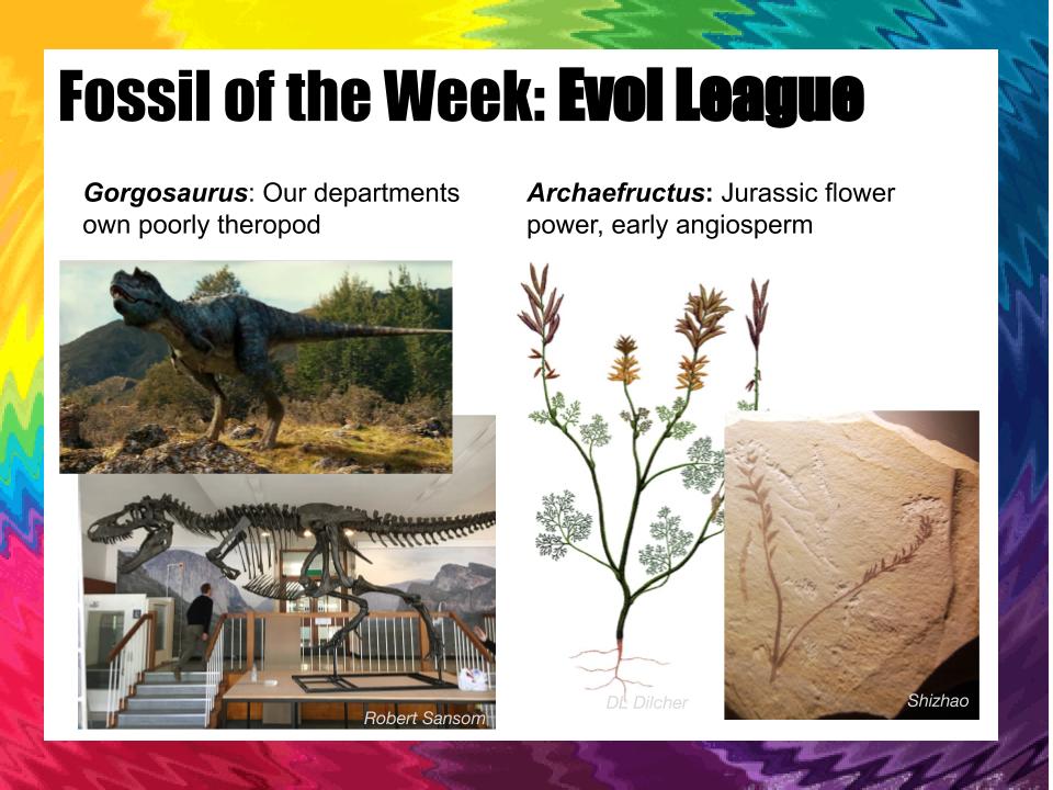 FossiloftheWeek's tweet photo. For playoff 4, its a plants versus animals in a double throw down.
Two giants LYCOPHYTES and AMMONITES face off in the geo league, whilst newcomers GORGOSAURUS and ARCHAEFRUCTUS enter the Mesozoic melee in the evolution league. Vote now! https://t.co/fpbIUN0iIc