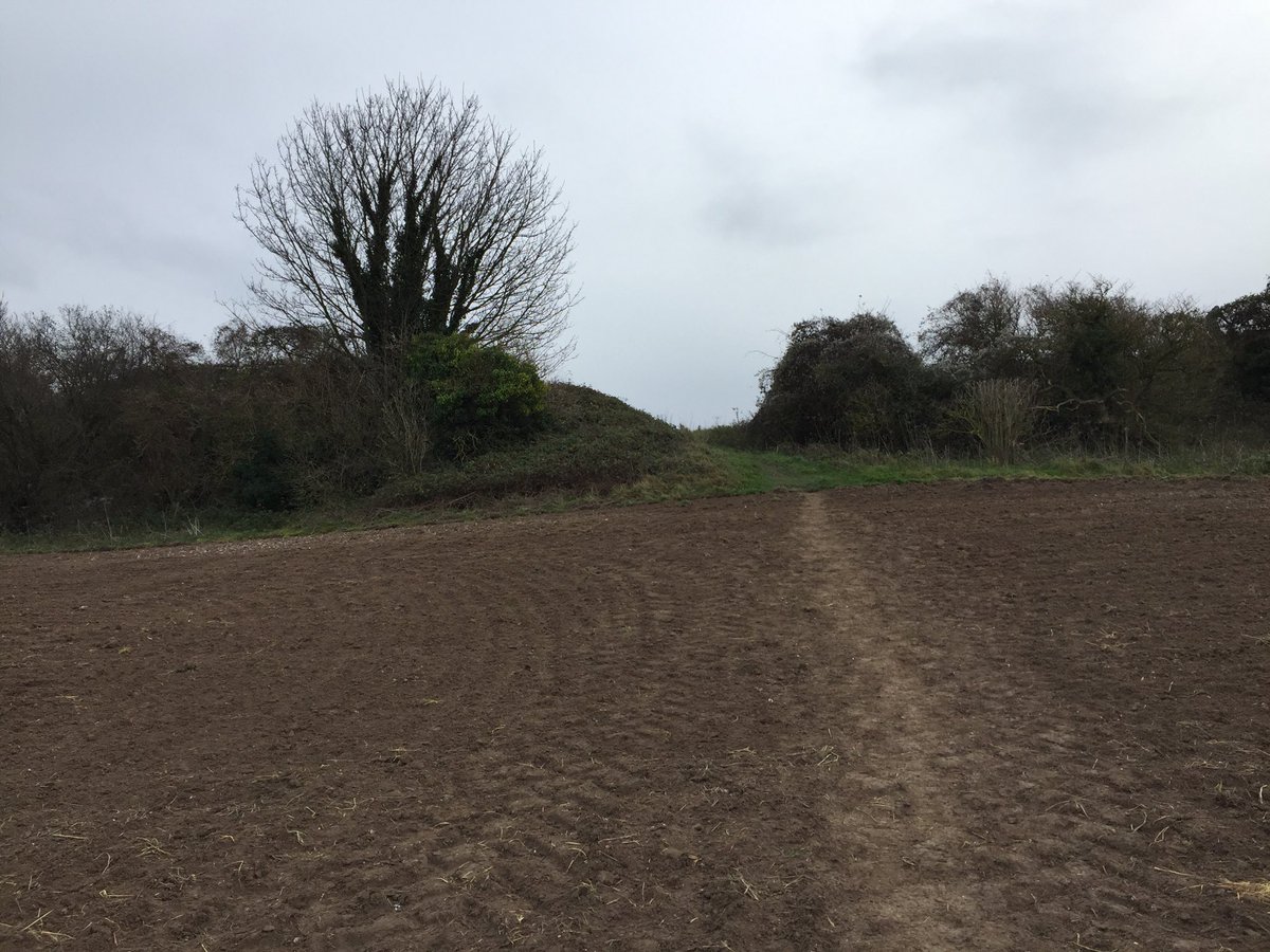 Vicky_liddell's tweet photo. Spetisbury Rings under lowering skies.A univallate fort scarred by the construction of a railway cutting in 1857 which uncovered over 100 skeletons - probable victims of Roman invasion. #HillfortsWednesday #Ironage #Dorset #romanbritain #hillforts #spetisbury https://t.co/L4K7H5CwSn
