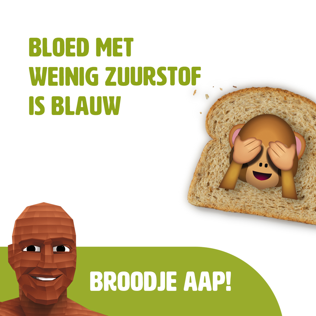 Dat is natuurlijk een BROODJE AAP! 🙈 Menselijk bloed is toch echt altijd rood. Dit komt door het stofje hemoglobine. Sommige mensen denken dat bloed met weinig zuurstof blauw is, omdat dit zo wordt weergegeven in biologieboeken. Toch is je bloed in het echt altijd rood! 🩸⁠
