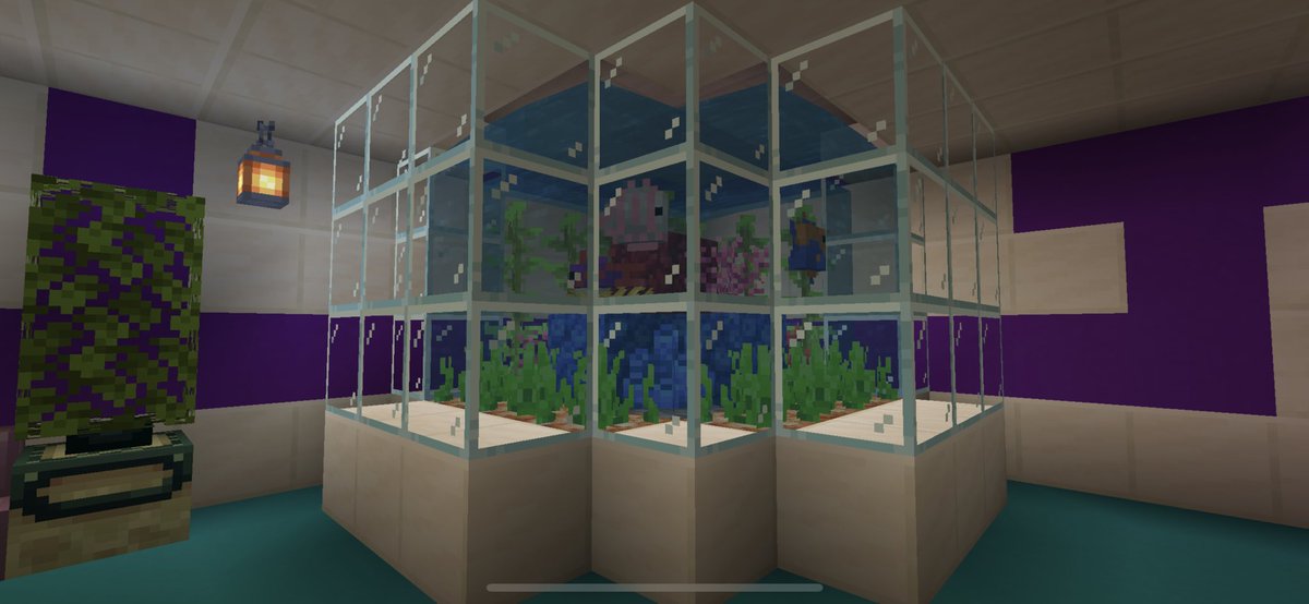 名我 على تويتر 分かりづらいけど上の方まで珊瑚がある水槽とスペースあったから作った水槽を追加 これで1階と2階は水槽で埋まったので次からは違う場所を載せよう マイクラ Minecraft 天クラマイクラ部