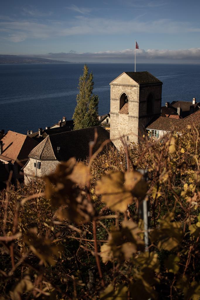 AntoineStrago's tweet photo. Clocher de l'eglise de Saint Saphorins vu des vigne 🍇⛪
#egliseevangelique #eglise #leman #lacleman #vigne #vignoble #autonme #lac #randonneesuisse
#suisse #swiss #vaud #lavaux #saintsaphorin
#montreuxriviera #rtsplusbellelavue #myswisserland #myvaud #photography #canon https://t.co/tlPY2yZiFt
