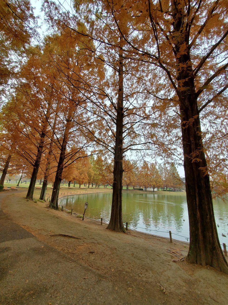 ta_yan tweet picture