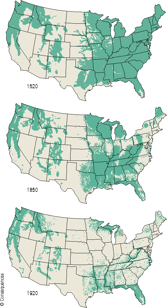 simongerman600's tweet image. Map shows the area of virgin old-growth forest in the contiguous United States in 1620, 1850, and 1920. Source: buff.ly/377FvKe