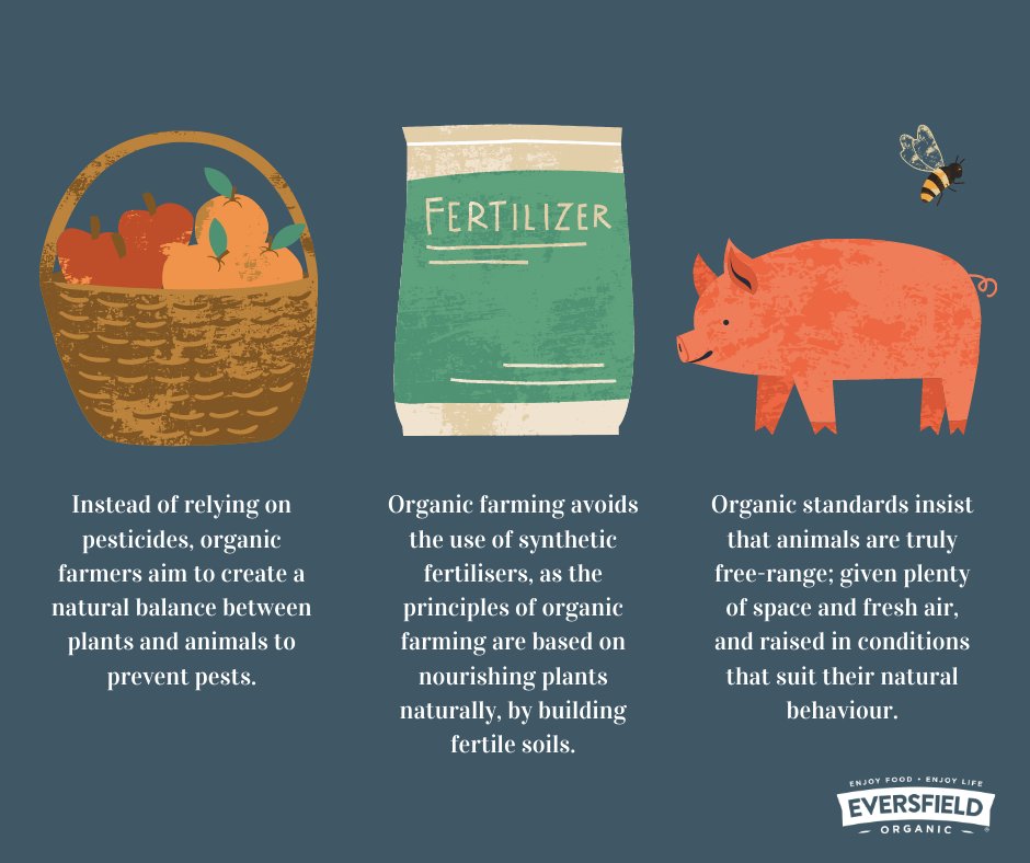 eversfieldorg's tweet photo. Soil is at the heart and soul of our planet. Put simply, we can't live without it! @soilassociation 

This #WorldSoilDay2020 we’re celebrating how organic farms like our very own actively work to enhance soil life and fertility! Here are just three ways we’re here to help: https://t.co/7KPuvviVwa