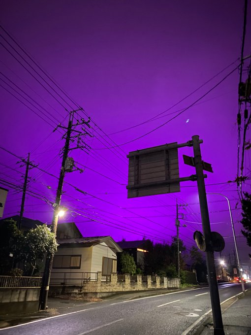 千葉市の空が紫色に染まる なんとその理由はトマト農園のledだった まとめダネ 千葉市の空が紫色に染まる なんとその理由はトマト農園のledだった まとめダネ