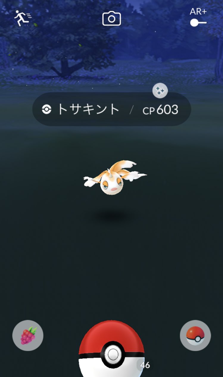 色違いトサキント Twitter Search Twitter
