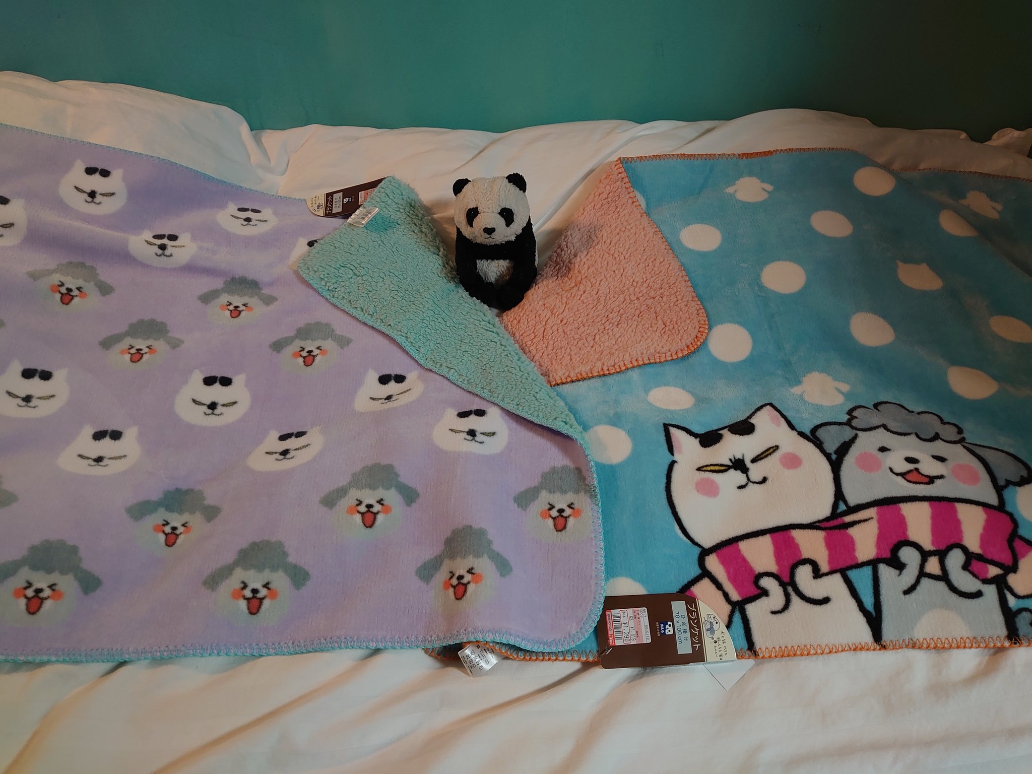だいふく しまむらぶらぶら E ゚o゚ こ これは猫くん 犬くん しまむらでコラボってたのか 知らなんだぁ ブランケットしか残ってなかったから だいふく しまむらぶらぶら E ゚o゚ こ これは猫くん 犬くん しまむらでコラボってたのか 知らなんだぁ ブランケットしか残ってなかったから
