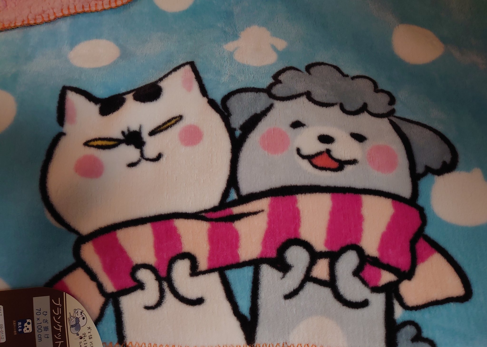 だいふく しまむらぶらぶら E ゚o゚ こ これは猫くん 犬くん しまむらでコラボってたのか 知らなんだぁ ブランケットしか残ってなかったから奇跡の残り2枚買った٩ ˊᗜˋ و かわえぇ 犬と猫どっちも飼ってると だいふく しまむらぶらぶら E ゚o゚ こ これは猫くん 犬くん しまむらでコラボってたのか 知らなんだぁ ブランケットしか残ってなかったから奇跡の残り2枚買った٩ ˊᗜˋ و かわえぇ 犬と猫どっちも飼ってると