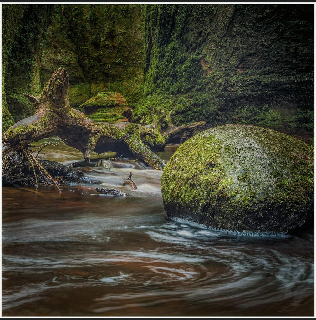 Day 249 - The Devils Pulpit - Finnish Glen #pin #finnichglen #finnichglendevil #finnichglenscotland #thedevilspulpit #thedevilspulpitscotland #killearn #scotland #scotlandphotography #landscapephotography #scotlandlandscape #scotlandlandscapes #longexpos… instagr.am/p/CIAeyCuAepi/