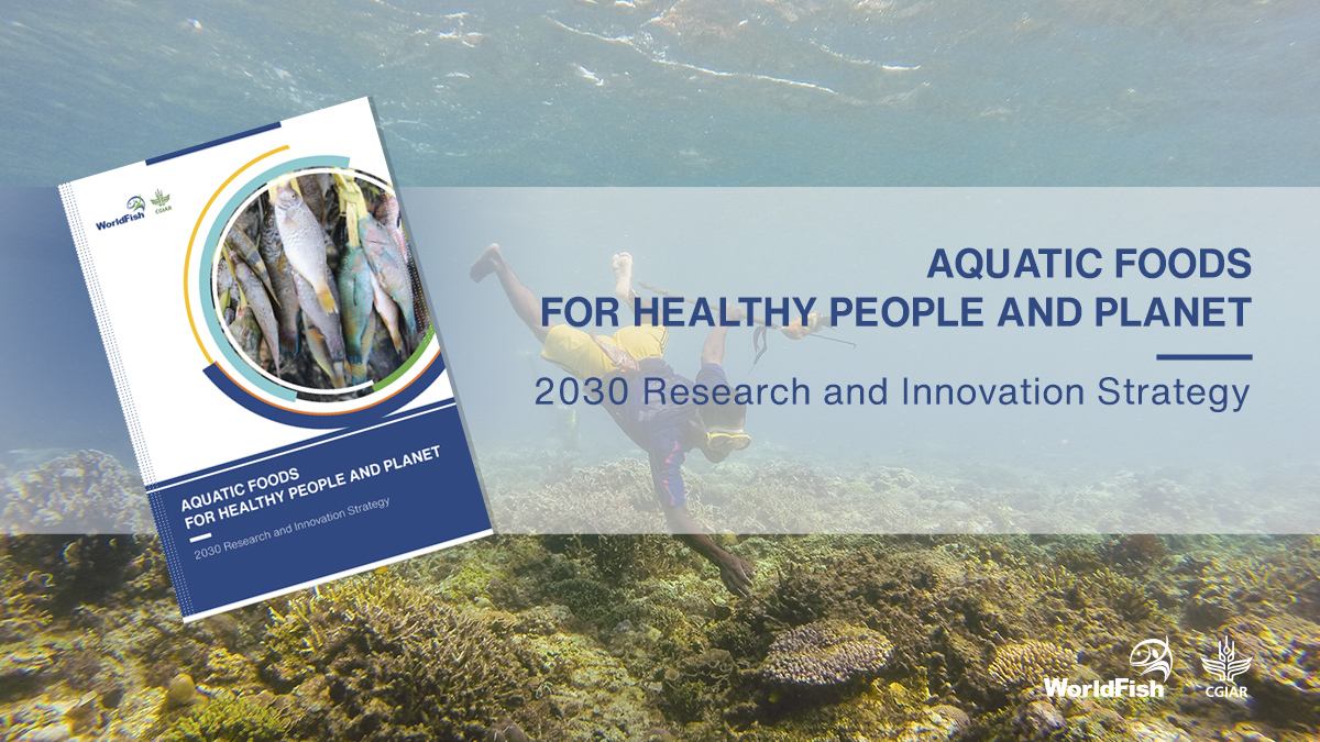 WorldFishCenter's tweet photo. [ANNOUNCEMENT] Our brand new 2030 Research and Innovation Strategy: Aquatic Foods for Healthy People and Planet is out now! Explore our bold and exciting vision for a sustainable food systems transformation with #aquaticfoods in link here - https://t.co/2YhEZlwO6w

@CGIAR #SDGs https://t.co/jiZatiHIXg