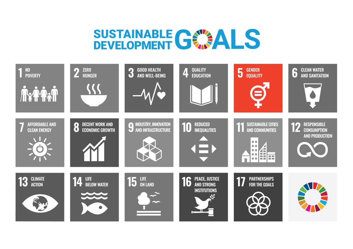 SGD 5 focuses on Gender Equality.

ElevatHer is one of our fantastic members focusing on the inequalities between males and females within the financial sector.

ElevatHer is a networking tool empowering women in finance &amp; fintech. Keep your eyes peeled for in this space
