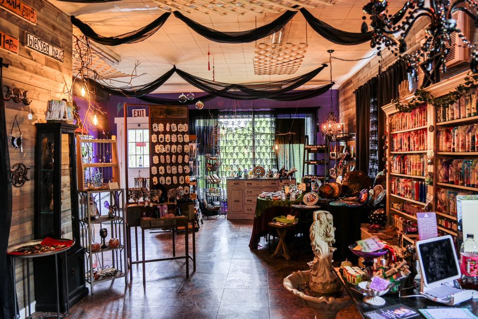 LunaEnchanted67's tweet photo. November 2020 Newsletter - https://t.co/iRN7qAbo99 https://t.co/2iZpMcpDBS