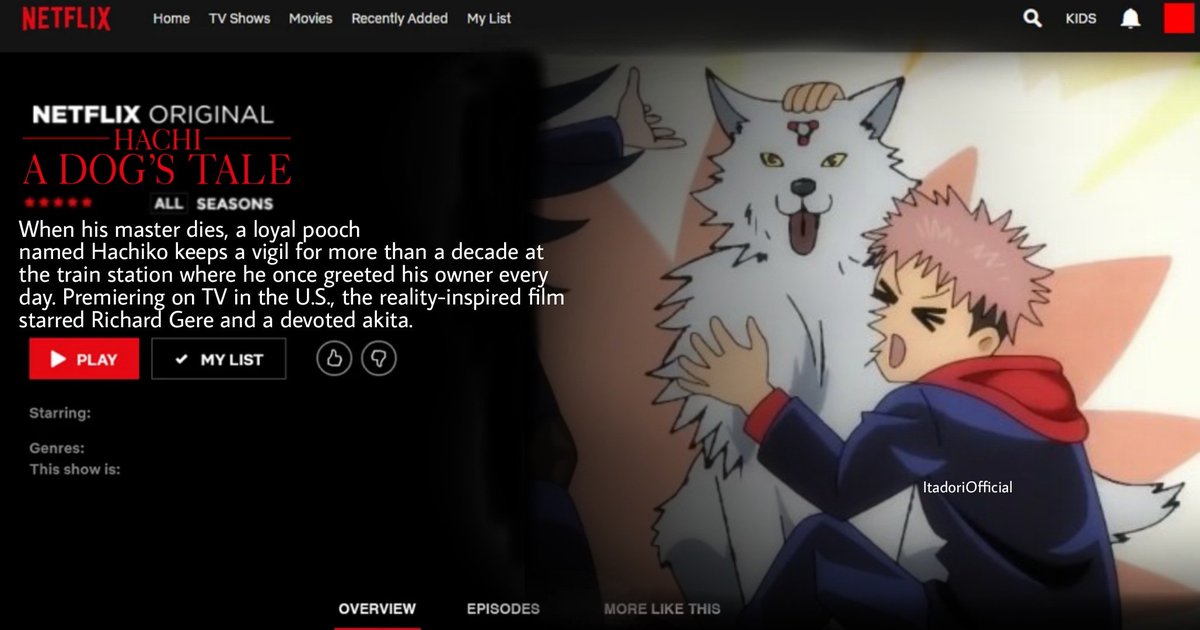 "Hachi : A dogs Tale" Starring Megumi Fushiguro's Shikigami doggo!