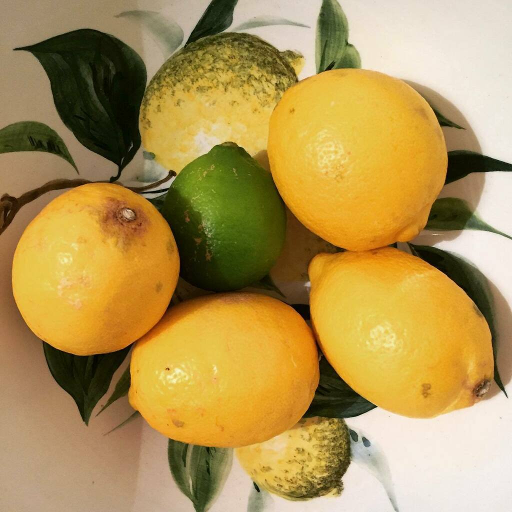 timofnewbury's tweet photo. lime & lemons #ludwigfilter https://t.co/kMVjPIeK4h https://t.co/domvnTW0DM