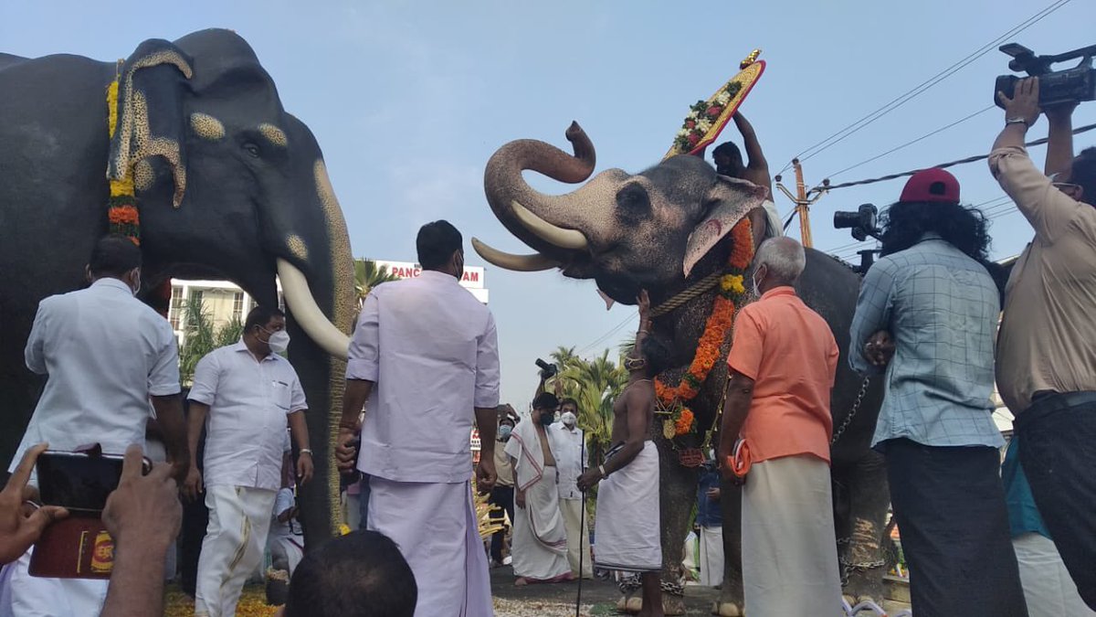  8. At the hour of death he prostrated facing Bhagawan Guruvāyūrappan with his trunk raised in salutation and passed away peacefully.People continue to remember him with Devotion and commemorate his death anniversary every year on  #GuruvayurEkadashi today  #HareKrishna 