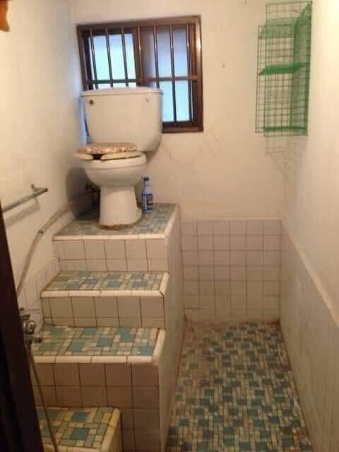 kermitthinking's tweet photo. Wednesday Motivation... Elevate your shit? #wednesdaythought #shitIdea #Motivation #lol #Dirtyhumour #NoExcuse #StepUp https://t.co/td3JtaEo2i