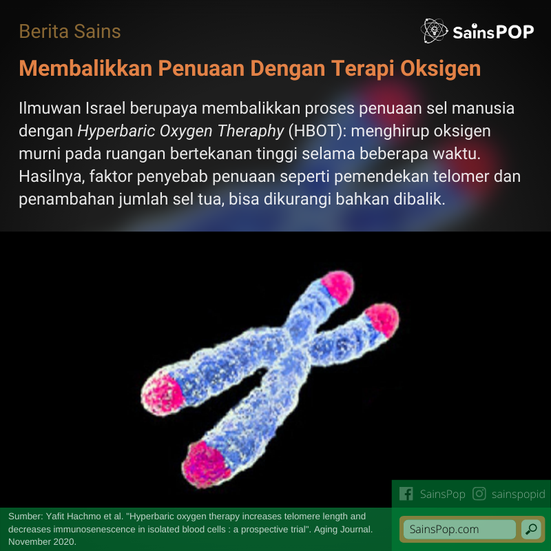 sains_pop's tweet photo. Mungkinkah kelak orang tua bisa jadi muda lagi?
Baca lengkapnya di https://t.co/EdM7Yy4r9W
#sains #sainspop #penuaan #senescent #sel #manusia #telomer #terapi #terapioksigen #oksigen #HBOT https://t.co/Z2URWmCYnT