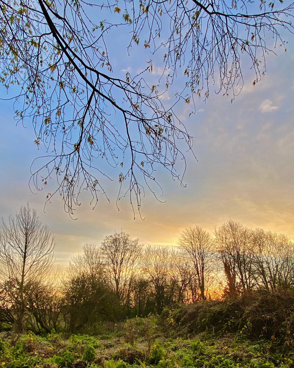 InsightUpNorth's tweet photo. this is not just a ditch - this is @ryebankfields #nicoditch #manchester - built 870AD (ish) to stop viking invaders - also believed to be the ancient divide between northumbria & mercia
#november #sunrise #gmtreemonth #lockdown #selfcare #wellbeingwednesday #NaturePhotography https://t.co/m6MLnoFlDe