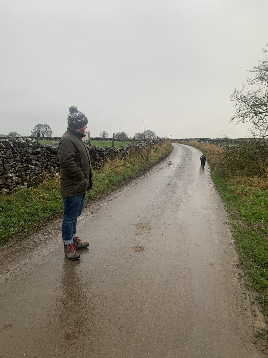 Wet #walk, with a slow moving dog.
The cold air was refreshing
#outdoors https://t.co/HAUJwTHpNh
