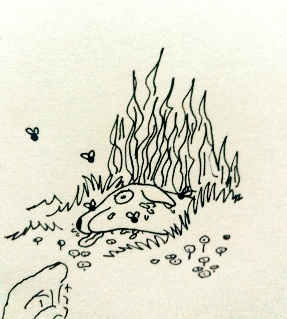 Some sketchbook doodles ? 