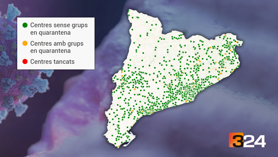 3CatInfo tweet media