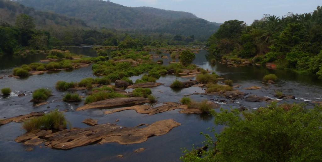 Usha Soolapani (@ushasoolapani) on Twitter photo #SaveAnakkayam Reverse the decision to cut 2000 trees . Stop the project.
#WithKadars #withFRA
<a href="/Devinder_Sharma/">Devinder Sharma</a> #NityanandJayaraman #SaveAnakkayam Reverse the decision to cut 2000 trees . Stop the project.
#WithKadars #withFRA
<a href="/Devinder_Sharma/">Devinder Sharma</a> #NityanandJayaraman