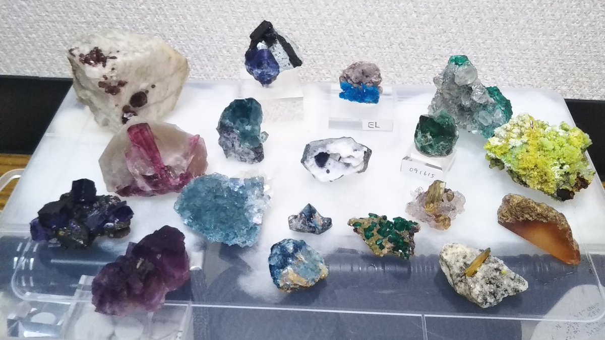 9月から鉱物デビューしてこれだけあるの本当に怖いですね。まだ写ってないの沢山あるよ‥。