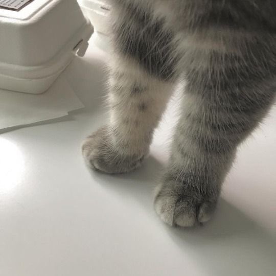 𝑍𝑎𝑛𝑒 /ไม่ต้องฟอลแบคครับ tweet media