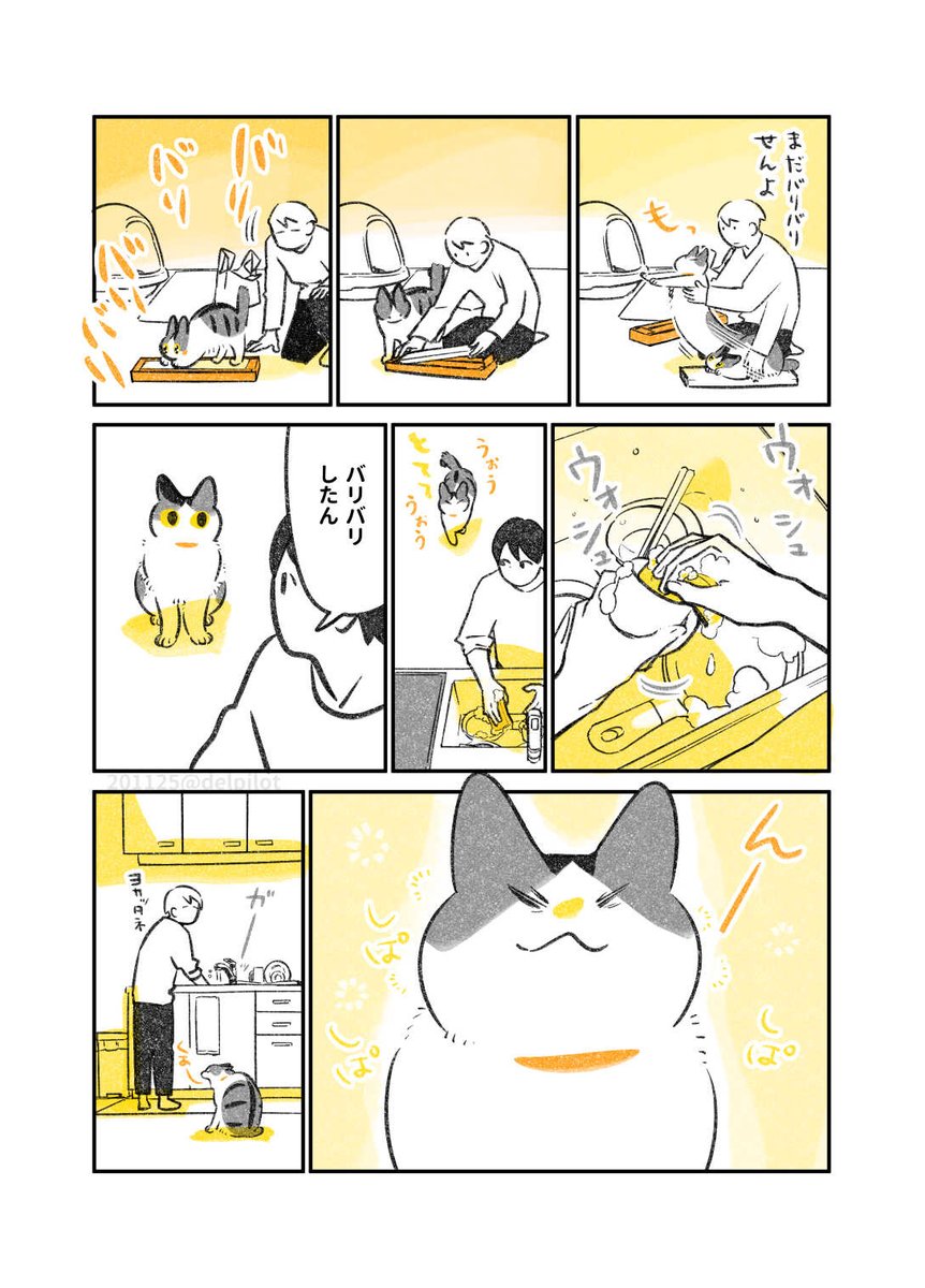 掃除をしていると見に来る猫 