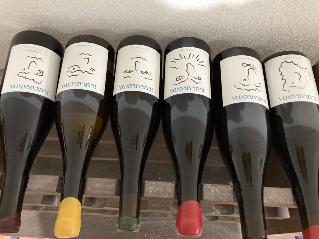 MataMangos Bodegas tweet media