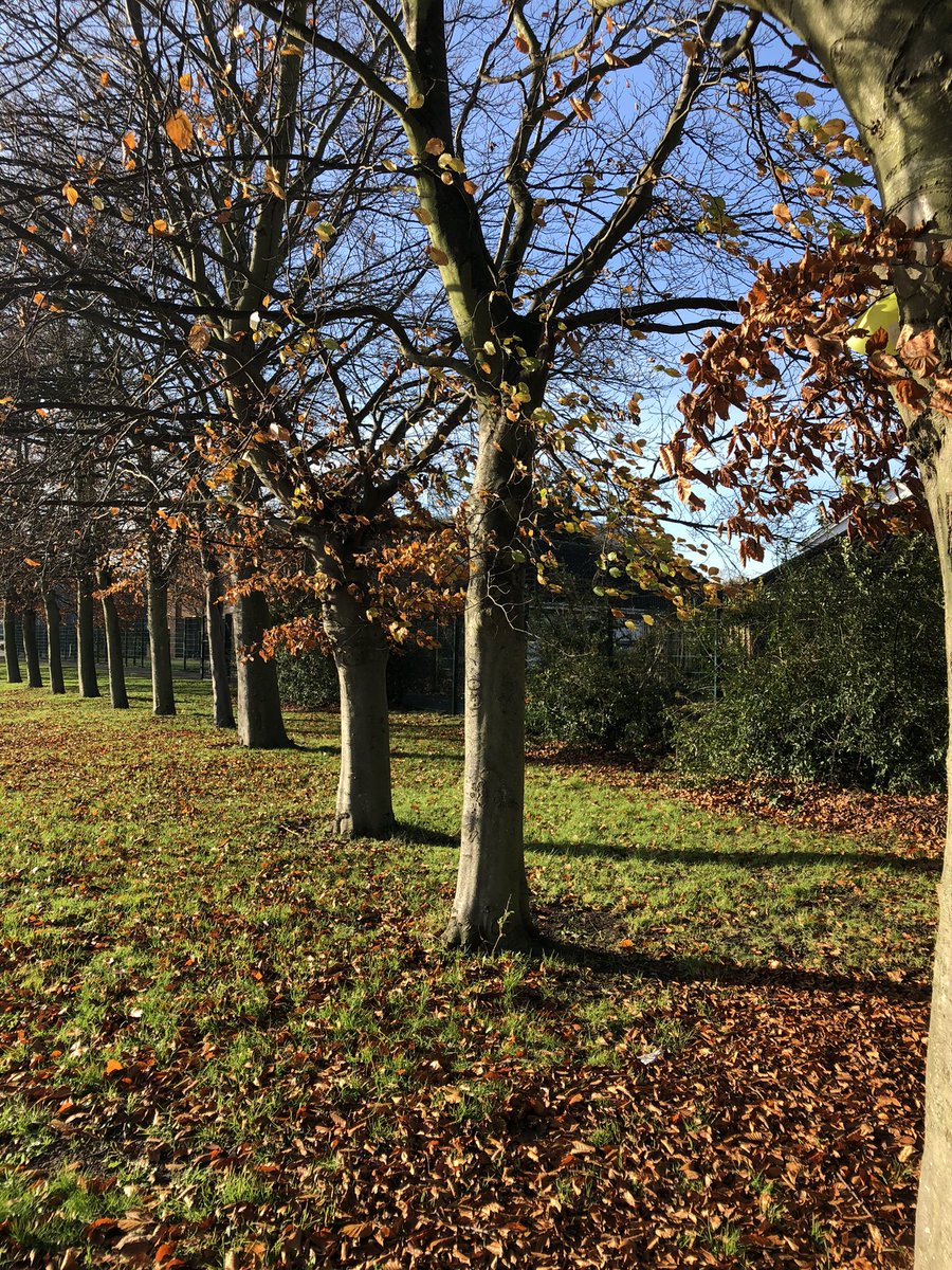 _MissShepherdPE's tweet photo. Coming to the end of Y8 boys topic of OAA. Beautiful weather making setting up my lesson even better. #gridreferencing #searchhighandlow #findthecone https://t.co/5LEYR5OvKs