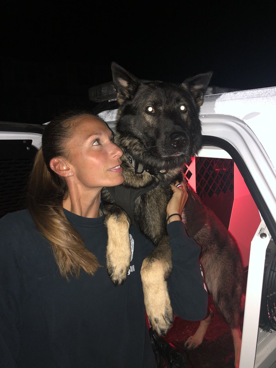 K9Apart's tweet photo. He tolerates me for sure. 💁🏻♀️#gsd #k9 #workingdog #workingdogwednesday #heputsupwithme #lookatme #k9apart https://t.co/eg9gYrD0MJ