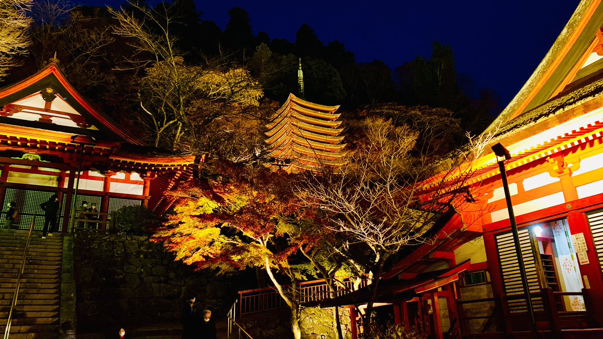 tourism_local's tweet photo. I went see lightning up autumn colors at Tanzan shrine. It was breath-taking scenery.
#autumnleaves #autumncolors #autumnvibes #japanfall #momoji https://t.co/gOhHORCxyi