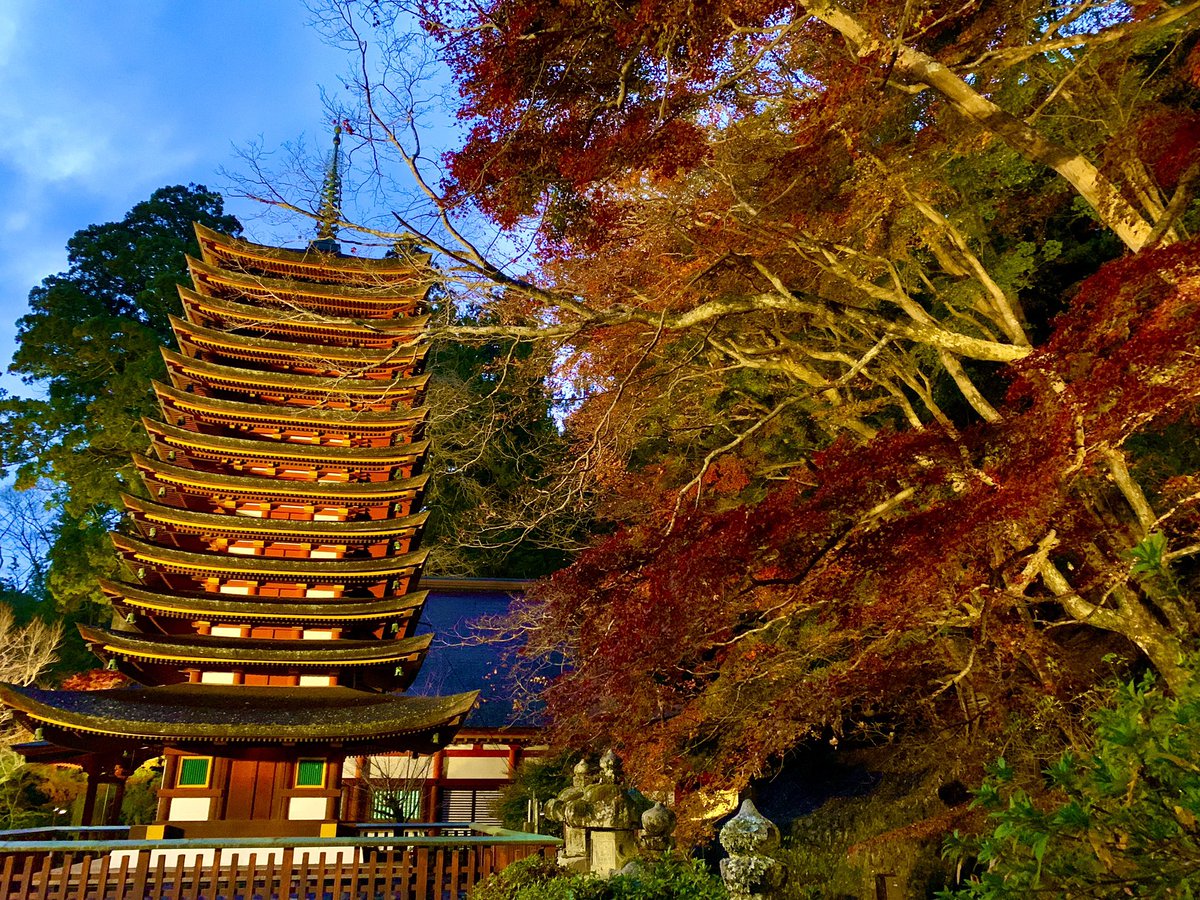 tourism_local's tweet photo. I went see lightning up autumn colors at Tanzan shrine. It was breath-taking scenery.
#autumnleaves #autumncolors #autumnvibes #japanfall #momoji https://t.co/gOhHORCxyi