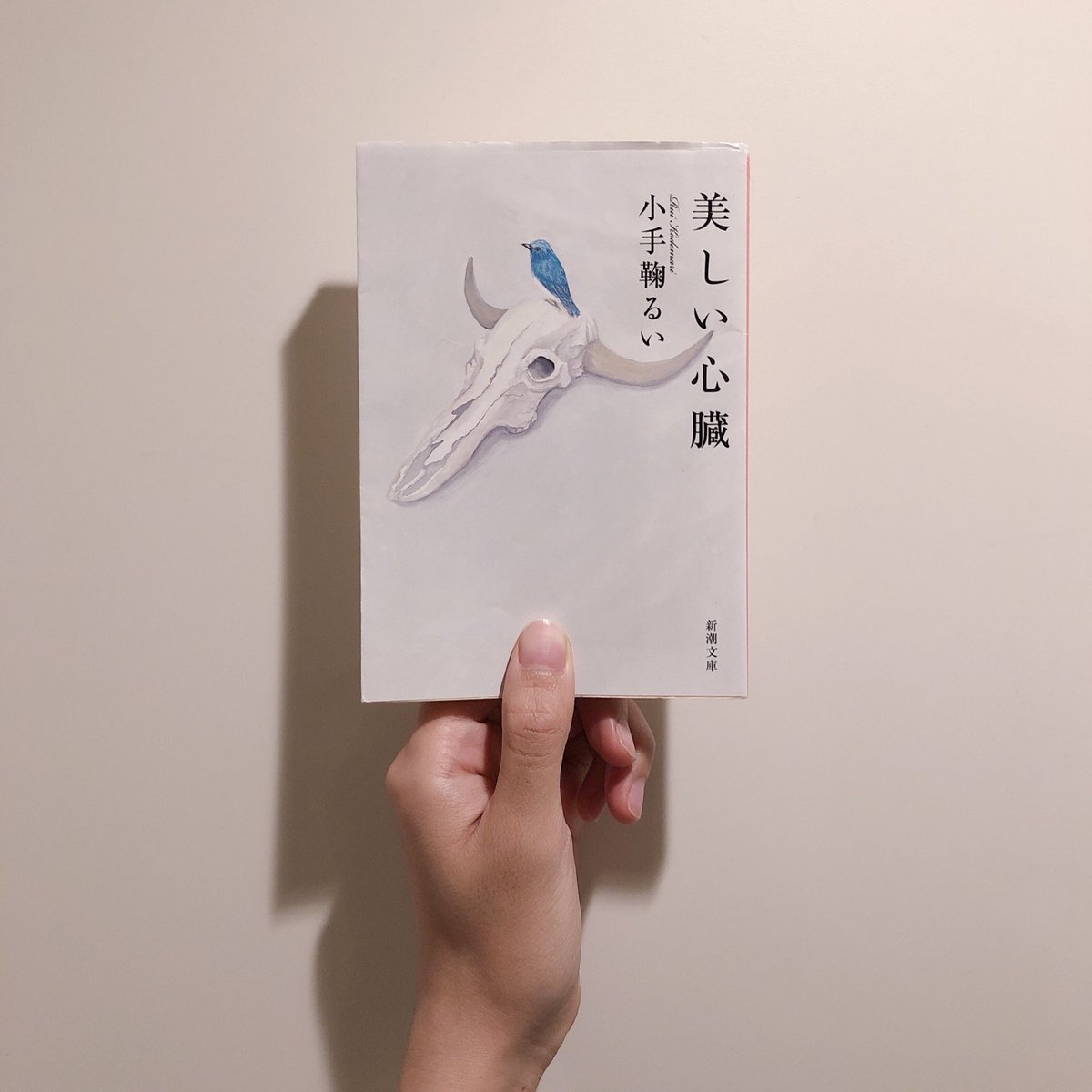 Hashtag 小手鞠るい Sur Twitter
