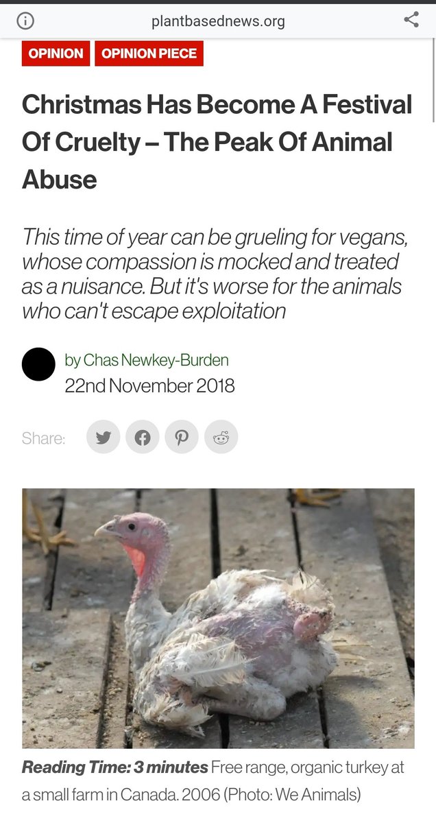 This Christmas, instead of k!ll!ng animals, k!ll the animal within.