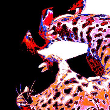 แจกรูปตามทัก - jaemin