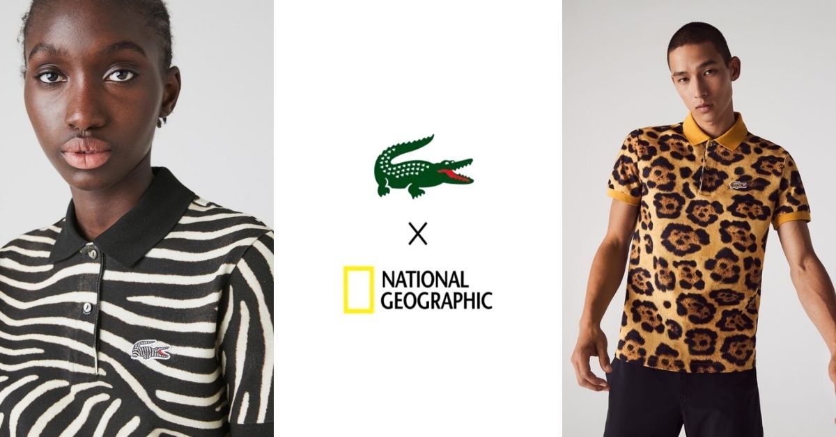 Lacoste x National Geographic? Il fallait y penser!
buff.ly/3kVa6zL
#ad #advertsing #collaboration #nationalgeographic #lacoste #collectioninedite #ecoresponsable #mode #vetements #animale #miind #lessismore