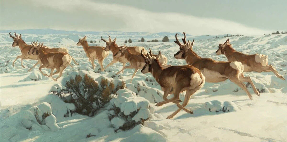 ivanik_oksana's tweet photo. Painting by Greg Beecham https://t.co/0YjTdRSb5M