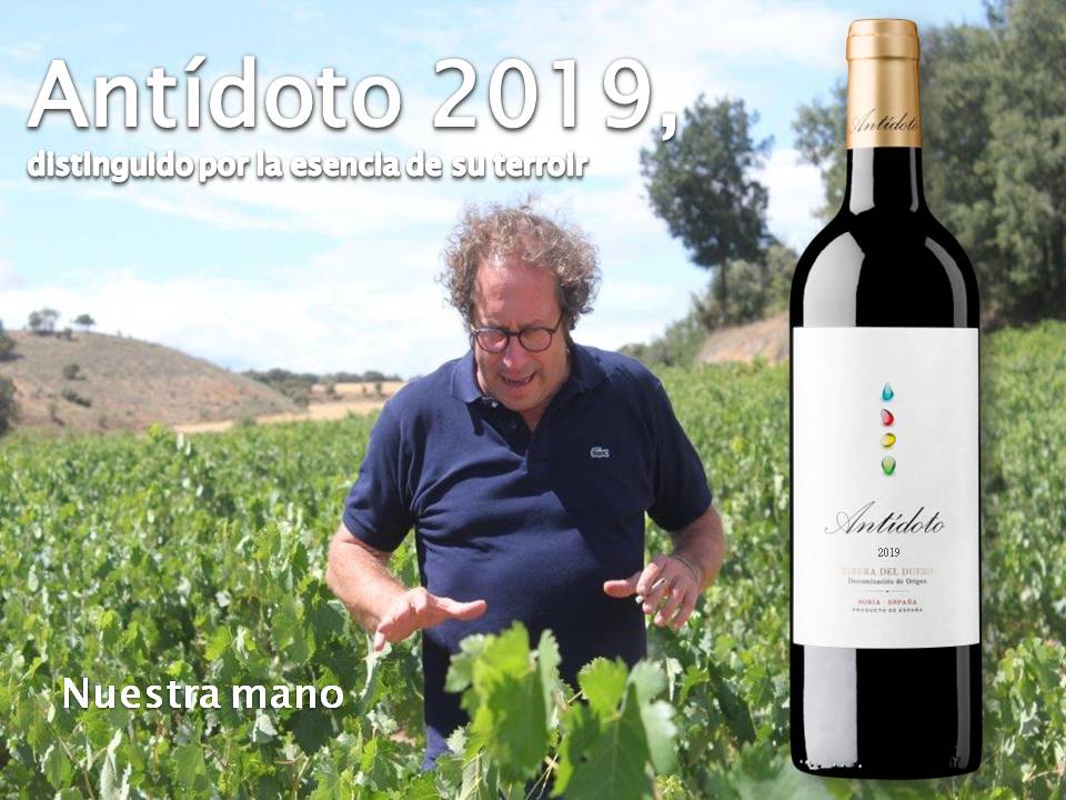 El Vigneron de Soria tweet media