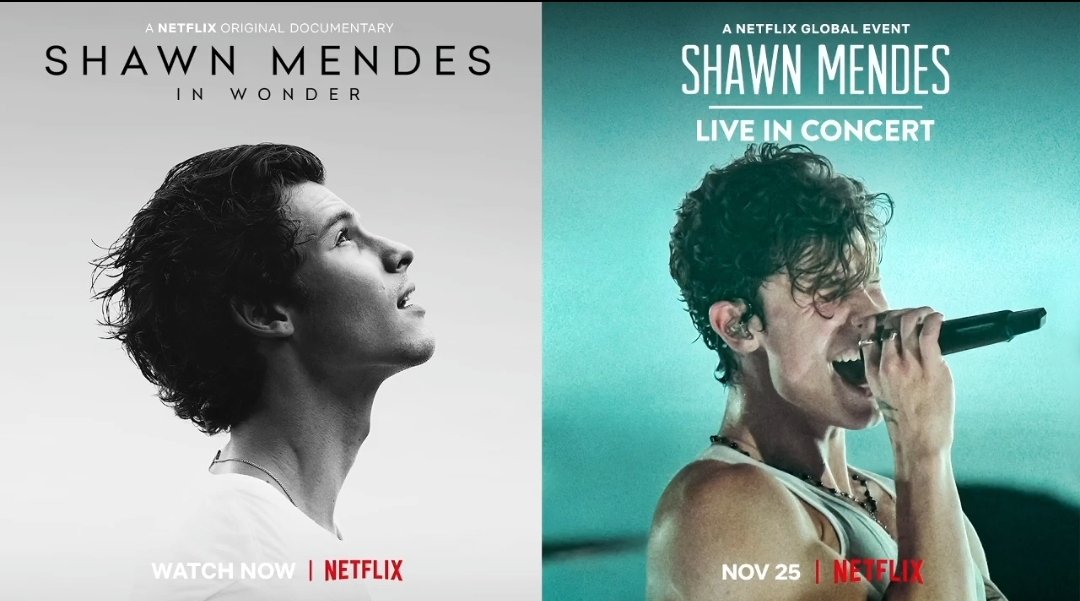 my thoughts on the shawn mendes live in concert ; a thread
