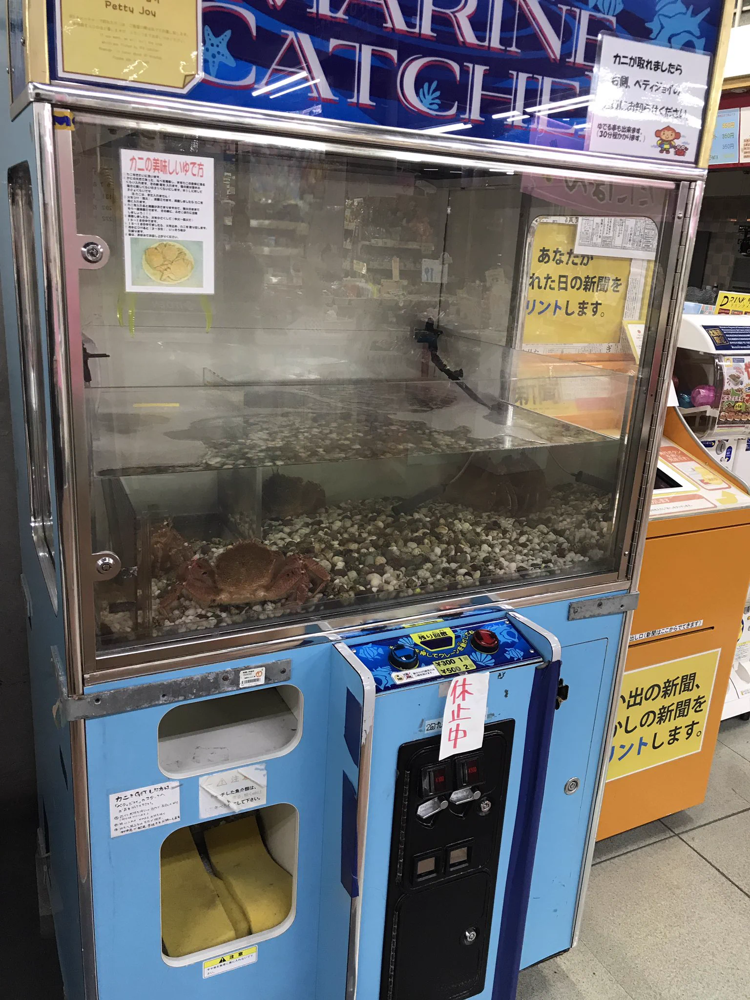 @kikai_RGB FF外から失礼します…北海道釧路には毛ガニキャッチャーがあります… 