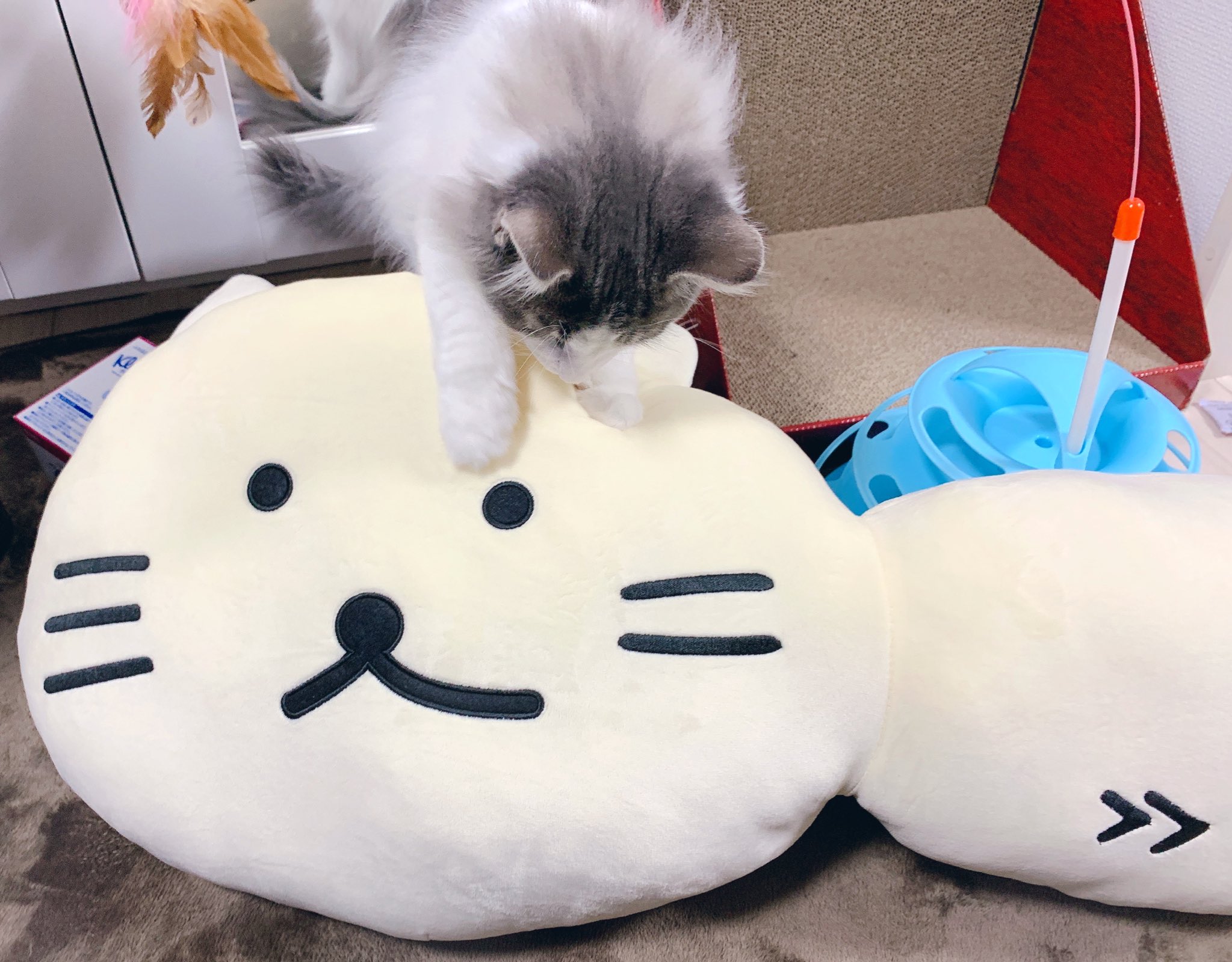 ぴくと on Twitter: ぴくと on Twitter: