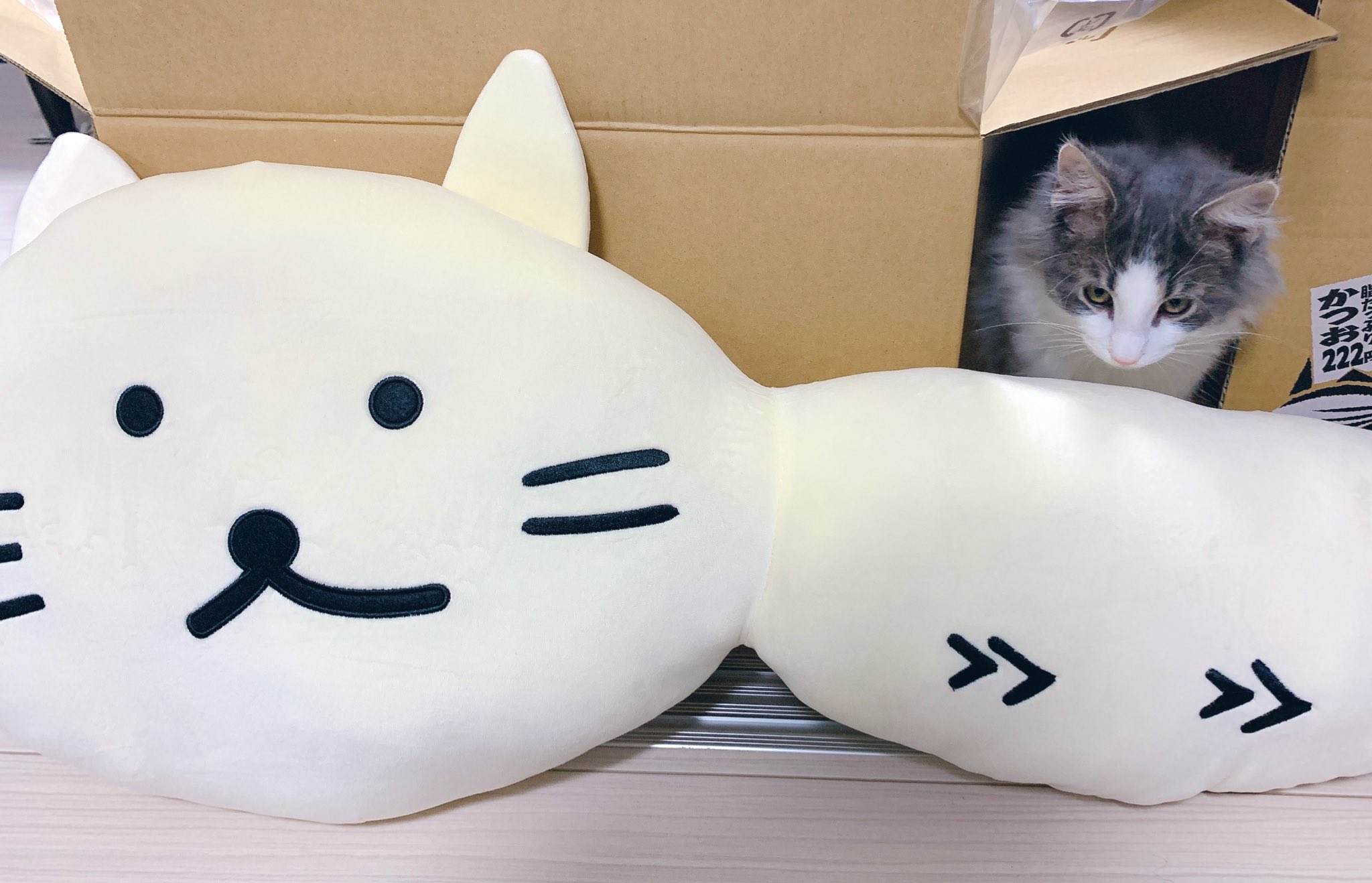 ぴくと on Twitter: ぴくと on Twitter: