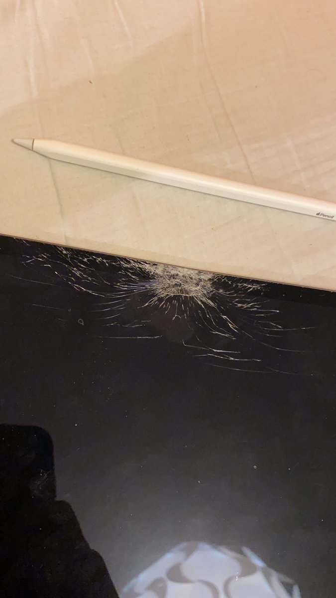 GingerPale tweet media