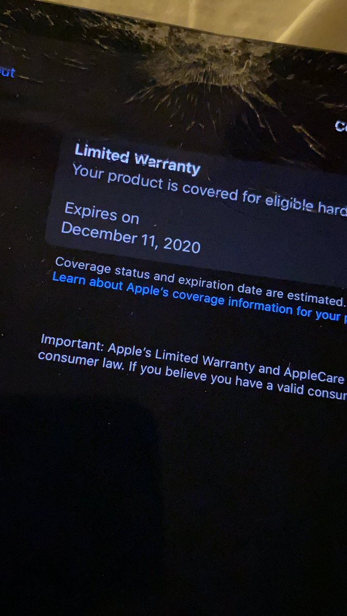 GingerPale tweet media