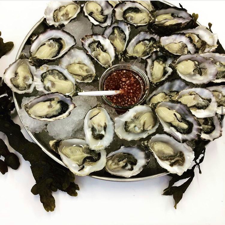 Glenbeigh Shellfish tweet media