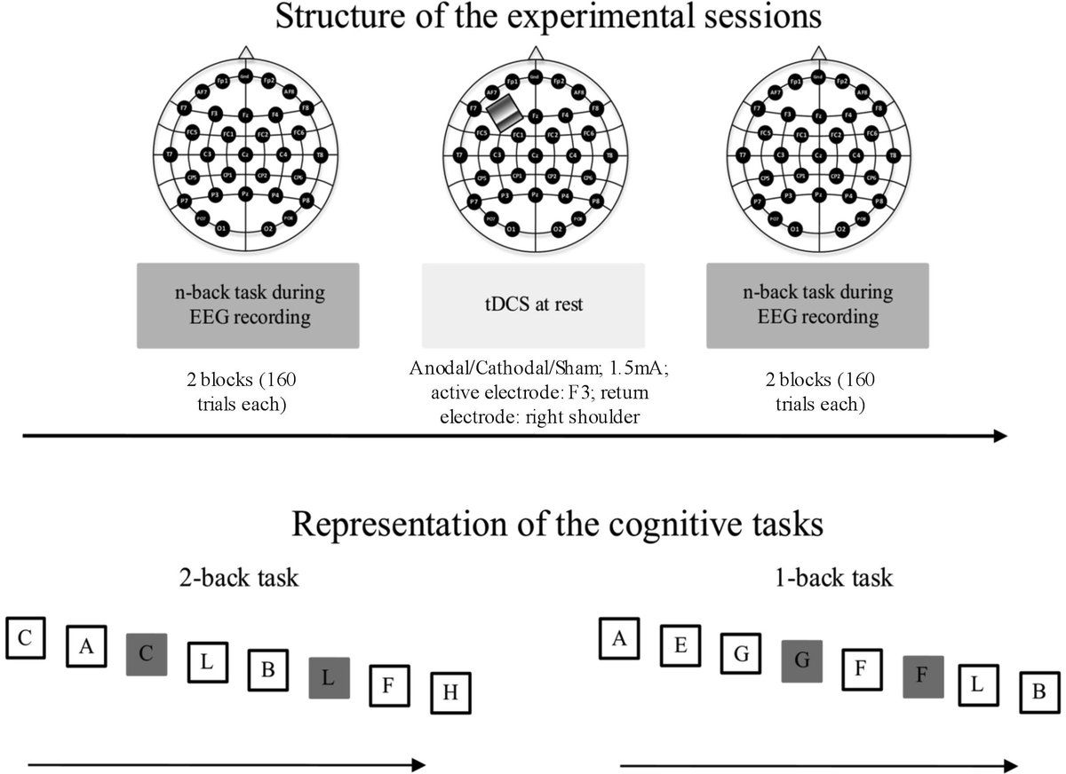 [tDCS in Alzheimer’s disease] Cespón et al. suggested that functional ...